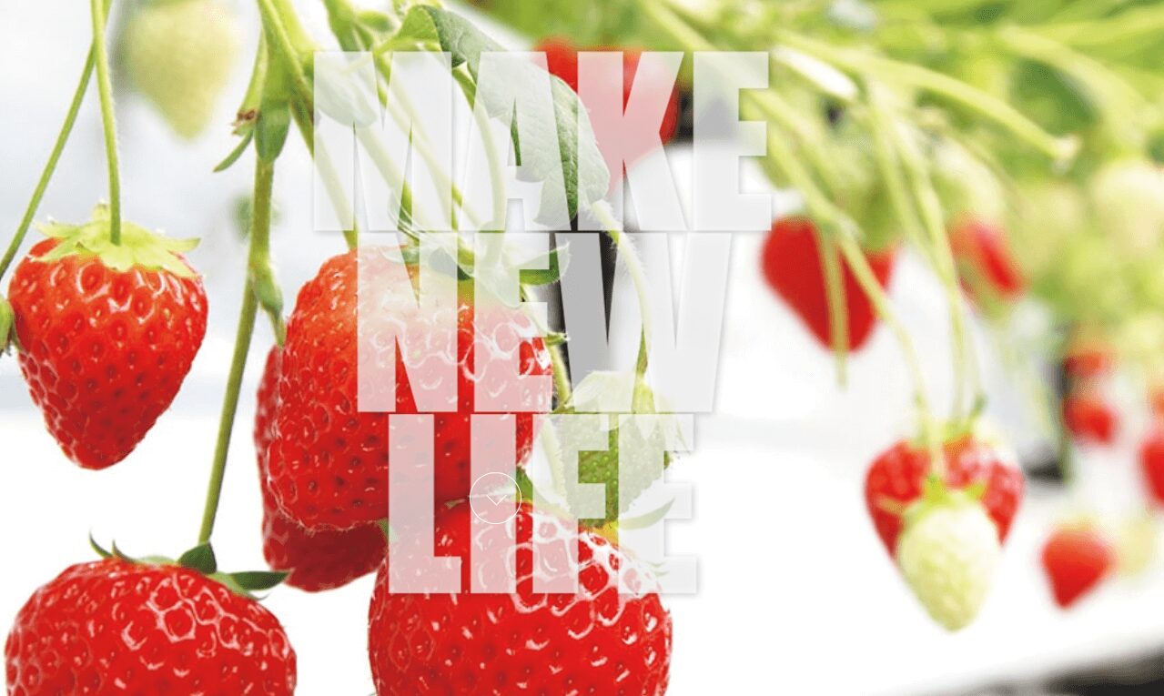 リバティワンの評判・口コミ